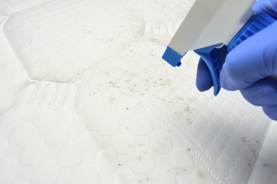Ways to Keep Your Mattress Protected from Stains